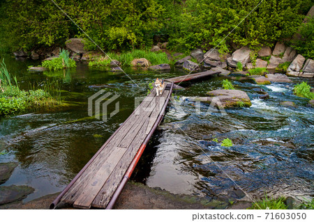 granite rocks in Ukraine 71603050