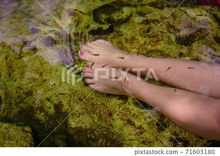 Women's feet in the water with fish. Women's feet in the water with fish. 71603180
