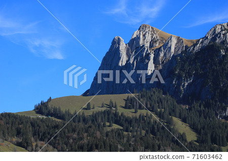 Mount Bockmattlistock in autumn. 71603462