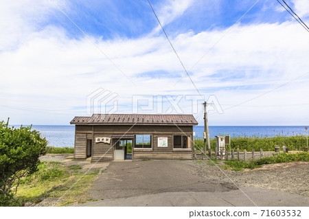 青森縣深浦町青櫻夏櫻站 青森縣深浦町青櫻夏櫻站 71603532