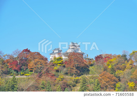 天空中的城堡越前小野城堡 71603588