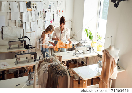 Designers of clothes examine fabric Designers of clothes examine fabric 71603616