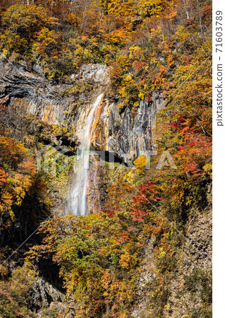 Sotaki(燕溫泉) Sotaki(燕溫泉) 71603789