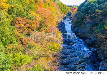 Takatsudo Valley of autumn colors Takatsudo Valley of autumn colors 71603945