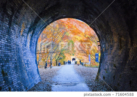 Tunnel and autumn leaves Tunnel and autumn leaves 71604588