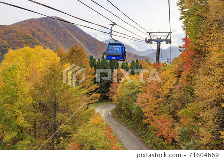 Naeba Plateau Autumn from Dragondola 71604669