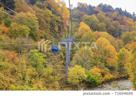 Naeba Plateau Autumn from Dragondola 71604689