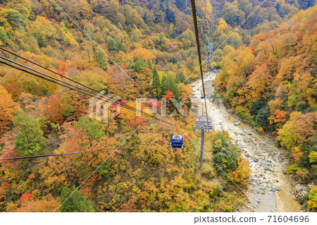 Naeba Plateau Autumn from Dragondola 71604696
