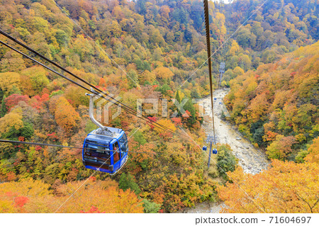 Naeba Plateau Autumn from Dragondola 71604697