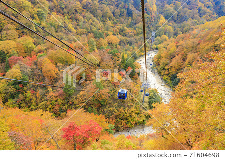 《龍多拉》的苗場高原秋 71604698