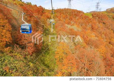 Naeba Plateau Autumn from Dragondola 71604756