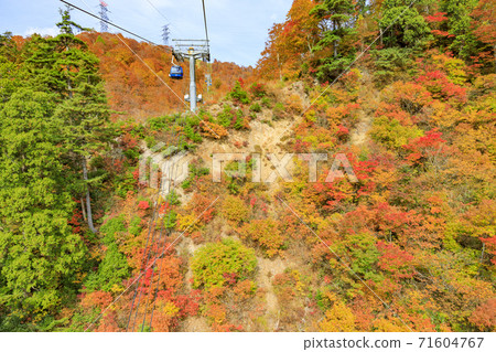 Naeba Plateau Autumn from Dragondola 71604767