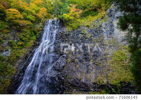 Tateyama Gorge Futaki Falls 71606145