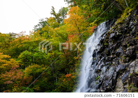 Tateyama Gorge Futaki Falls 71606151