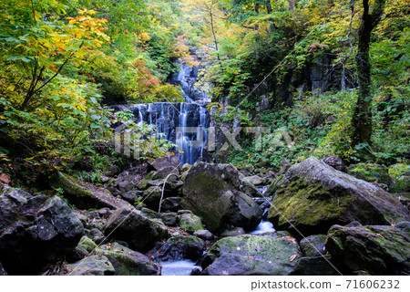 塔塔瑪塔山谷新木垣 71606232