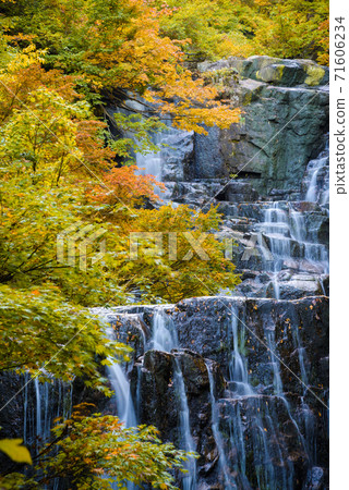 塔塔瑪塔山谷新木垣 71606234