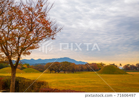 Sunset of Inwang-dong ancient tomb complex at autumn in Gyeongju, Korea 71606497