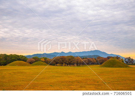 Sunset of Inwang-dong ancient tomb complex at autumn in Gyeongju, Korea 71606501