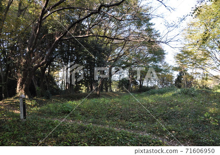 Hiki Castle Ruins Matsuyama Castle Ruins Kuruwa 4 (Musashi Province) Hiki Castle Ruins Matsuyama Castle Ruins Kuruwa 4 (Musashi Province) 71606950