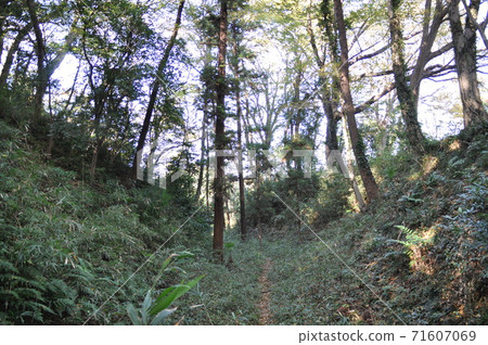 Hiki Castle Ruins Matsuyama Castle Ruins Sorabori (Musashi Province) 71607069