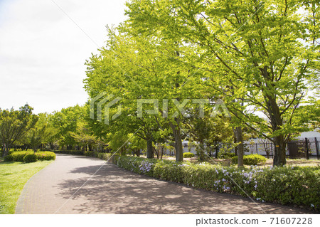 Tokyo Metropolitan Higashimurayama Central Park 71607228