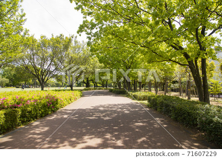 Tokyo Metropolitan Higashimurayama Central Park 71607229