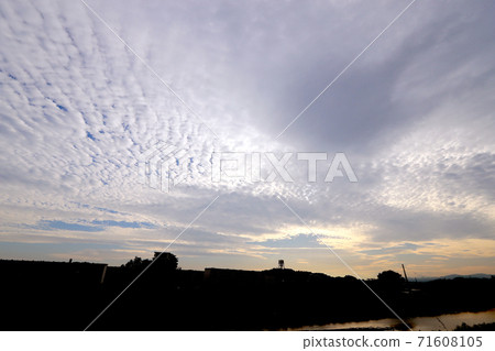 秋天的陽光和扇貝雲 71608105