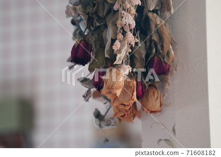 Dried flowers hung in the room 71608182