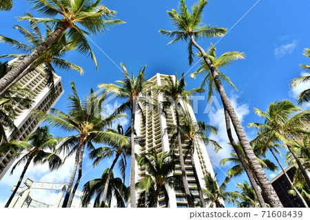 夏威夷的假期 71608439