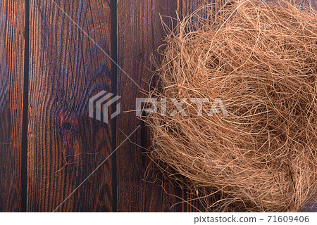 Empty bird nest Empty bird nest 71609406