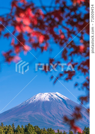 [Mt. Fuji and autumn leaves from Road Station Asagiri Kogen] 71609454