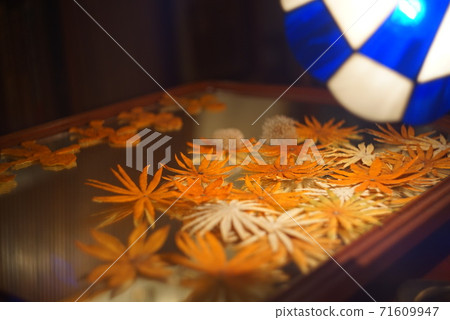 flowers, dried flower, mandarin orange 71609947