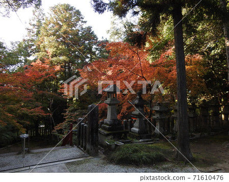 丫丫神社秋葉 71610476