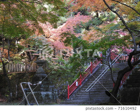 丫丫神社秋葉 71610492