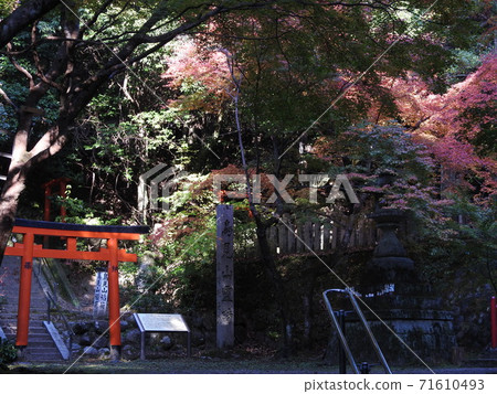 丫丫神社秋葉 丫丫神社秋葉 71610493