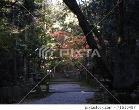 丫丫神社秋葉 71610497