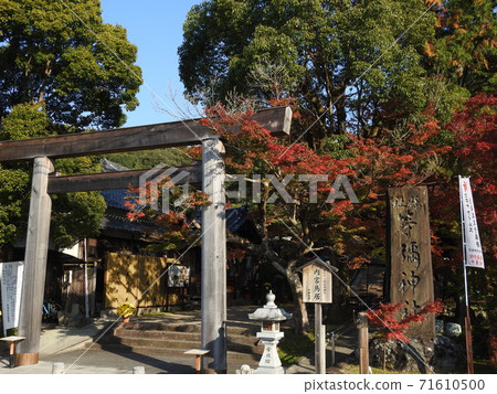 丫丫神社秋葉 71610500