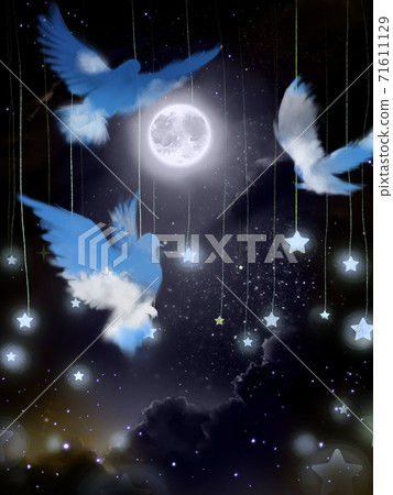 三隻鴿子,夜空和星星在滿月飛舞的藍天的輪廓中的背景畫 三隻鴿子,夜空和星星在滿月飛舞的藍天的輪廓中的背景畫 71611129