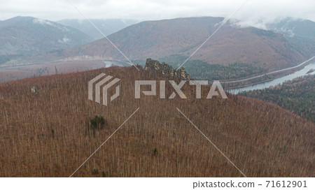 Anyu pillars . Beautiful rocky gray textured background with mosses and lichens. Surface mountain cliff close-up. 71612901