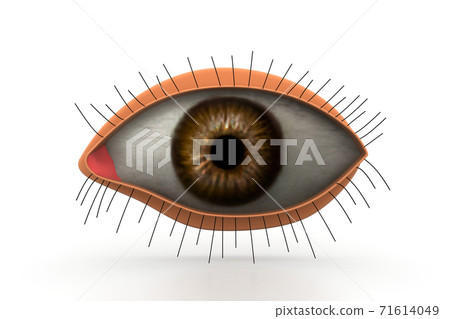 3d eye. 71614049