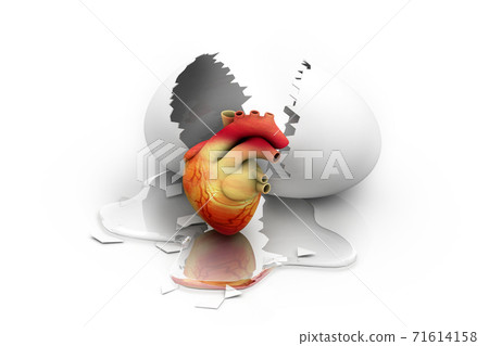 Human heart with open egg. Human heart with open egg. 71614158