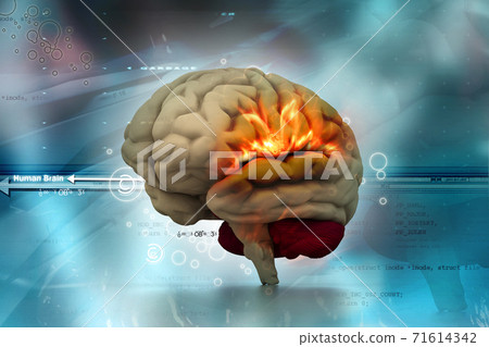 Human brain in abstract medical background Human brain in abstract medical background 71614342