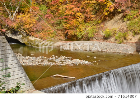 Deep inside flower valley of Kinshu Deep inside flower valley of Kinshu 71614807