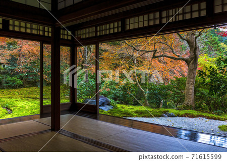 Autumn Ruriko-in Autumn Leaves Sakyo-ku, Kyoto 71615599