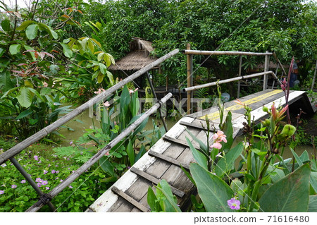 Wooden footbridge in the green garden plot in Thailand.	 71616480