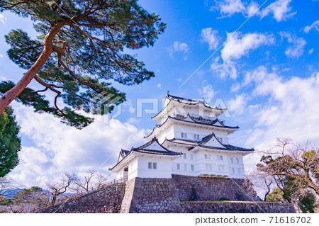 [Kanagawa Prefecture] Odawara Castle Plum Season 71616702