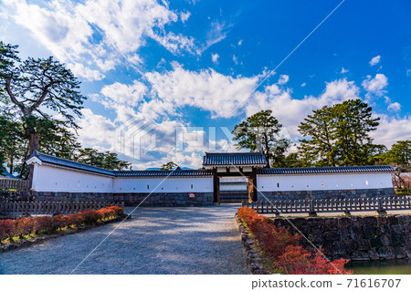 [Kanagawa Prefecture] Odawara Castle Plum Season 71616707