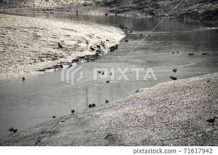 Siheung Tidal-Ecological Park, Siheung City, Gyeonggi-do 71617942