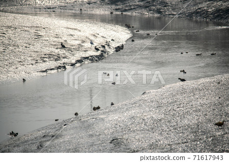 Siheung Tidal-Ecological Park, Siheung City, Gyeonggi-do 71617943