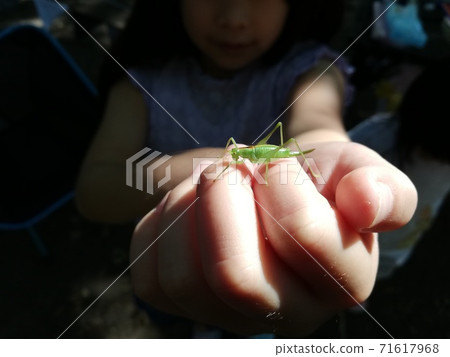 抓住巴塔的女孩 抓住巴塔的女孩 71617968